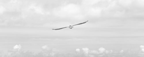 What You Should Know About Online Casino Games In Australia