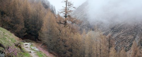 How to Tell Your Pet Sitter Is a Careless One 