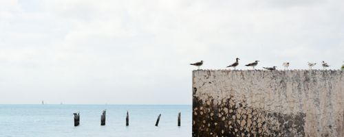 How Data Requirements affect your Choice of NBN Plan
