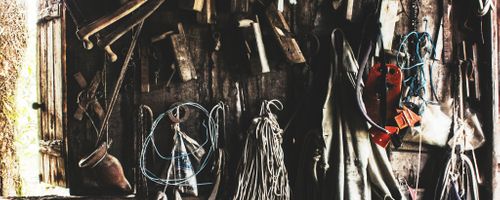 Various kinds of appliances you can find through an online retailer