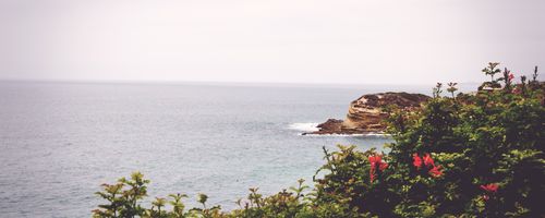 Why online purchases of electronics have increased in the past decade?