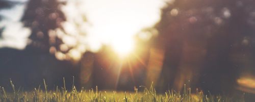 Kinds and levels of internet connection bundles and offers that people can avail in Australia