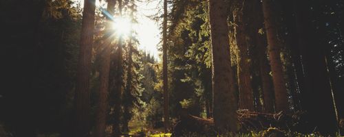 How Long Should You Take Before Servicing Your Car in Australia?