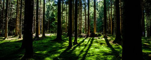 Common needs of online buyers when they are shopping for huge appliances in Australia through e-stores