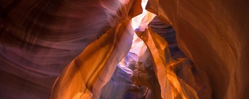 Some of the most popular courses you may not miss out as a professional