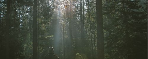 Most common issues people have while keeping different sorts of furniture accessories in a restaurant