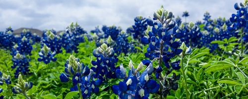 The best ways a copywriter can help in creating a high conversion content copy for seo campaigns in Australia and the US