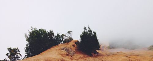 Things to look for when finding the right loan company in Australia