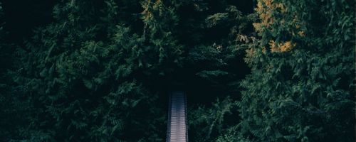 Best ways to find out more about the storage facilities with a good reputation