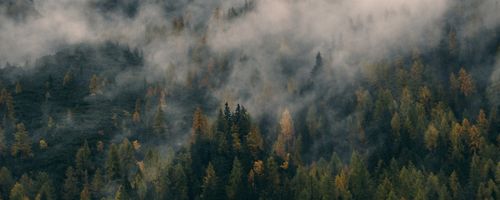 Must have features in a phone number for busy companies