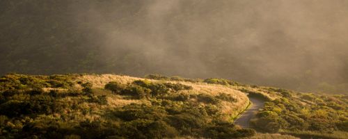 Supportive course programs online that can help managers boost their professional growth in Australia