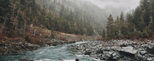 Important features that make the latest kitchen gadgets better than before