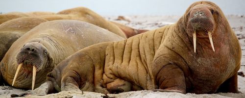 5 facts about the latest home accessories and appliances